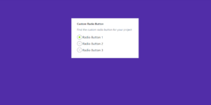 Read more about the article 9 BOOTSTRAP RADIO BUTTON